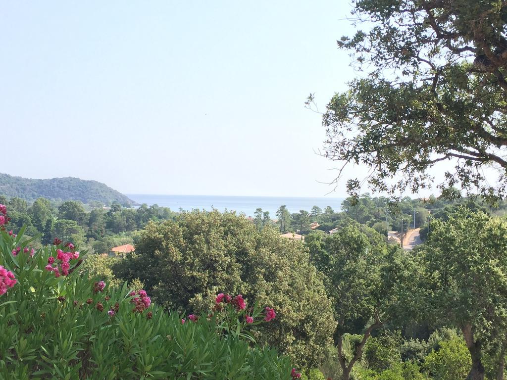 Thalassa Sainte-Lucie de Porto-Vecchio Eksteriør bilde