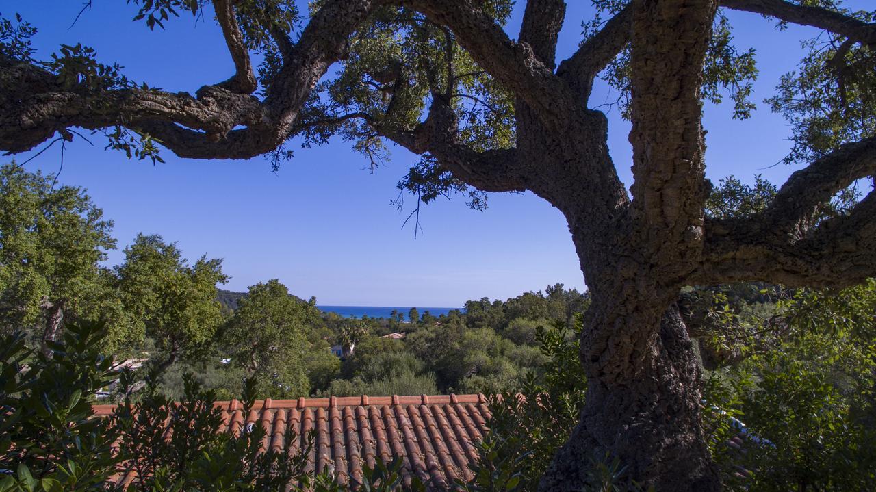 Thalassa Sainte-Lucie de Porto-Vecchio Eksteriør bilde